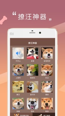汪星语