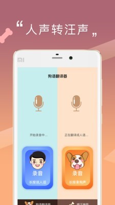 汪星语