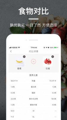 食物派