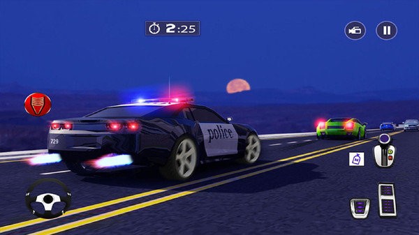 警官公路追逐Police Highway Chase