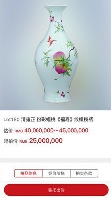 易拍全球网下载