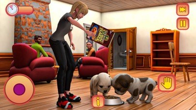 孕犬宠物护理