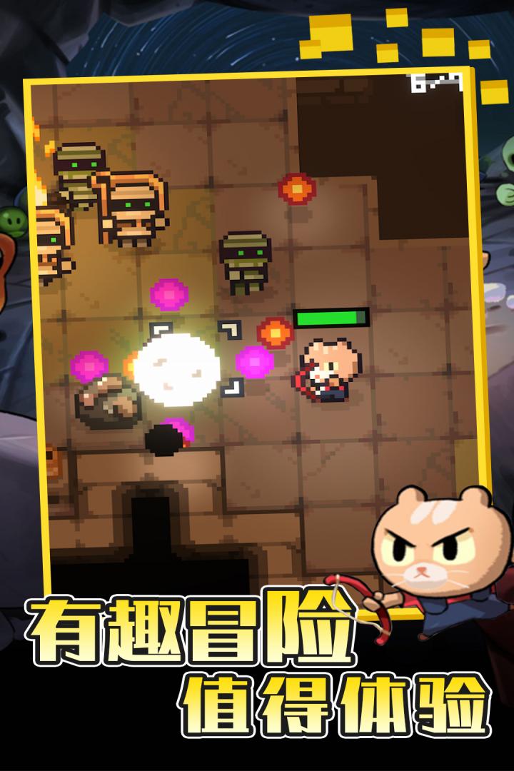 回家的猫 