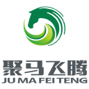 聚马飞腾 1.0.1