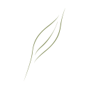 23号信 1.1