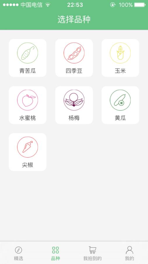 侬拍拍 