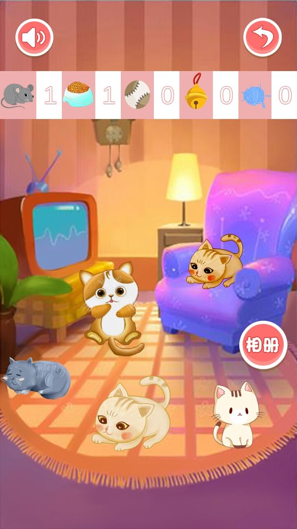 宝宝猫咪乐园 