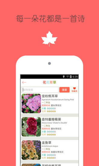 花之谷手机版
