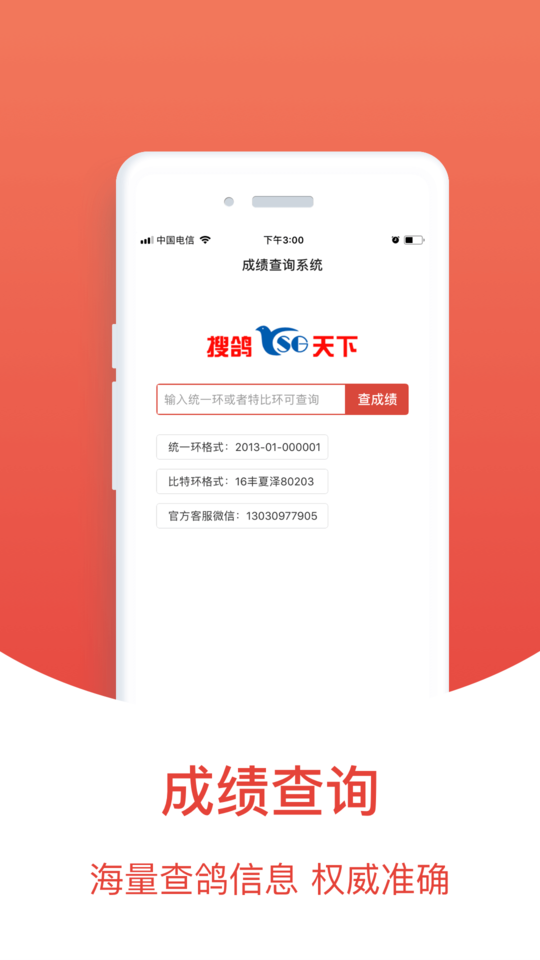 赛鸽头条搜鸽天下2023