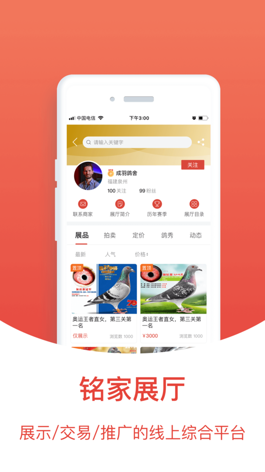 赛鸽头条搜鸽天下2023