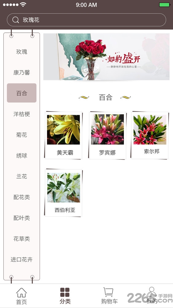 七彩云菊app