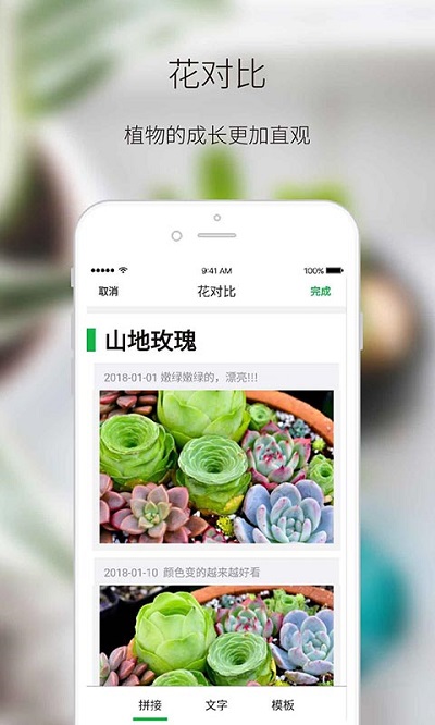 绿手指app