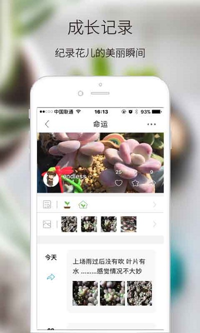 绿手指app