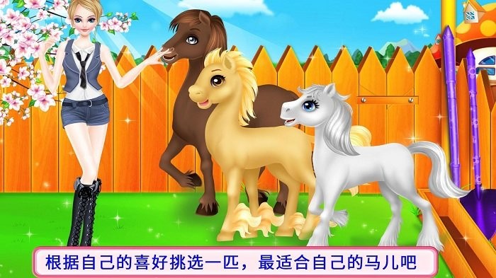 骏马护理装扮游戏