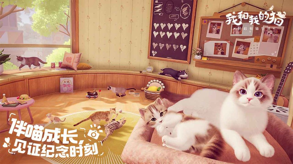 我和我的猫游戏