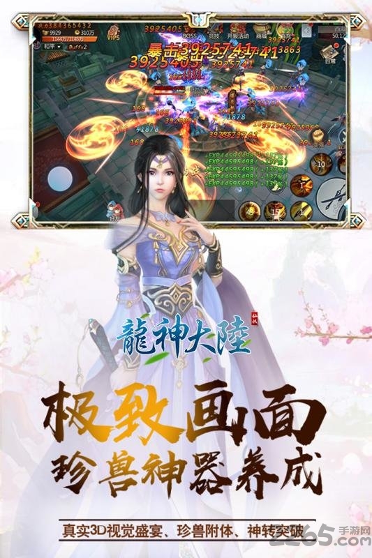 龙神大陆bt版