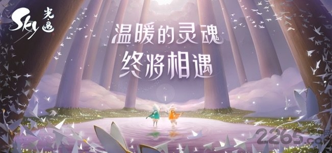 sky光遇体验服免费