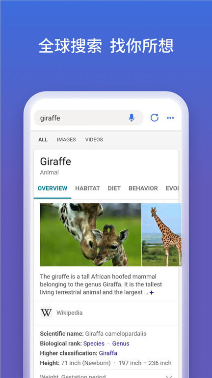microsoft bing国际版