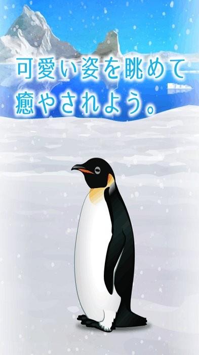 治愈的养成企鹅最新版(penguin)