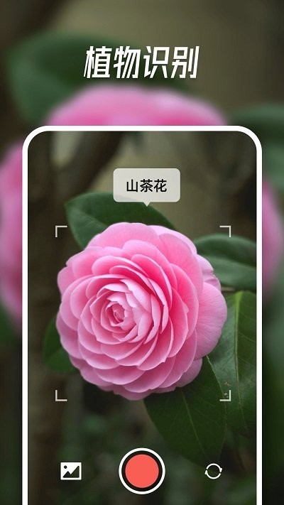 智能识别大师软件