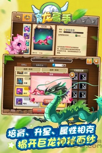 育龙高手vivo版本