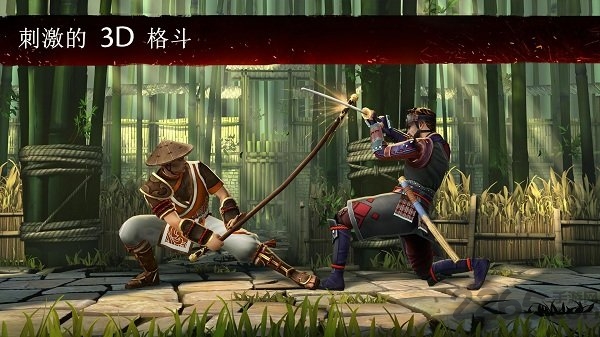 暗影格斗3浮空定身版