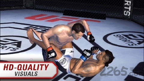 ufc终极格斗冠军手游