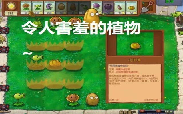 植物大战僵尸蔡徐坤版