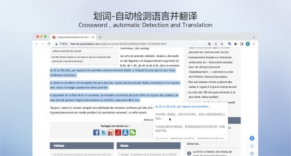 智译网页翻译插件