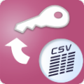 CsvToAccess (csv导入access数据库工具)电脑版v4.0