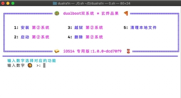 dualra1n图片1