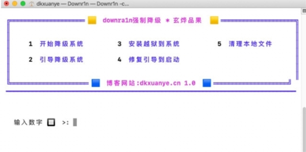 downr1n图片1