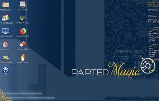 Parted Magic 2022软件截图1
