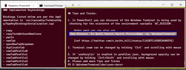 Windows Terminal图片4