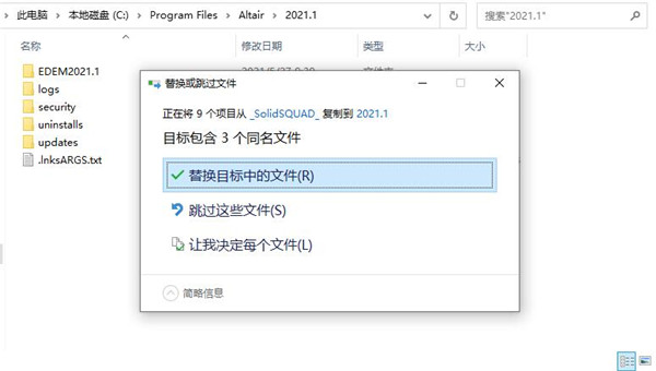 Altair EDEM Professional 2021图片11