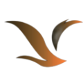 鸿雁 绿色版v1.3.0