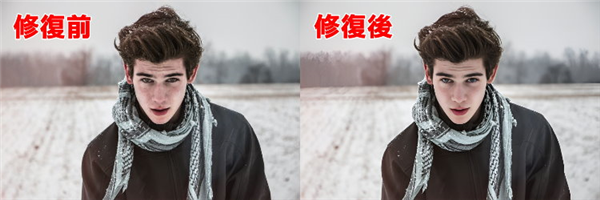 CodeFormer图片3