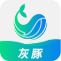 灰豚AI数字人 电脑版v1.0