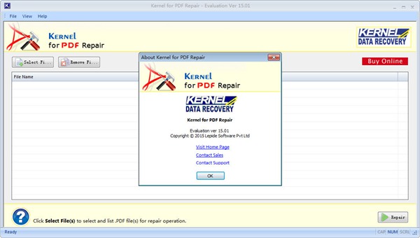 Kernel for PDF Repair图