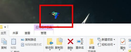 桌面宠物鸟
