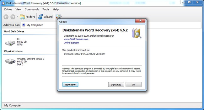 DiskInternals Word Recovery图