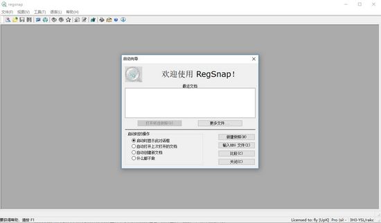 RegSnap图片