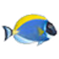Sim AQUARIUM 2(鱼缸锁屏软件) 官方最新版v2.6d