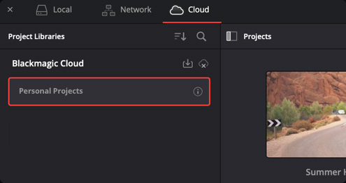 DaVinci Resolve 19正式版图片1