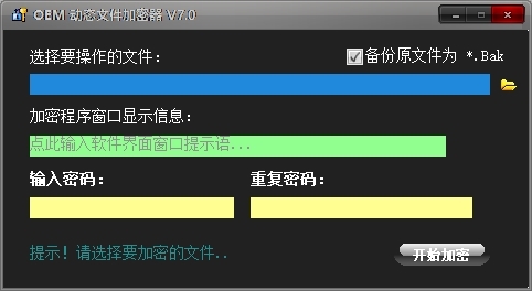OME动态文件加密器图片