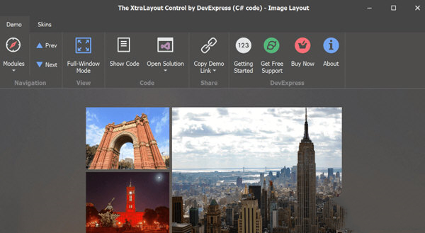 Devexpress截图