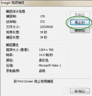 SnagIt截图