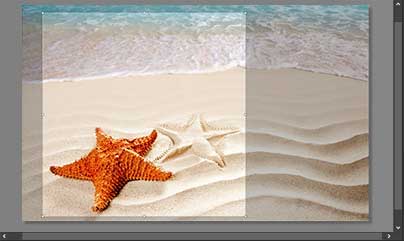 NCH PhotoPad v9.23 中文版