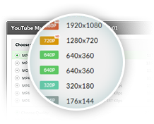 Gihosoft TubeGet截图