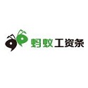 蚂蚁工资条 2.0 官方版